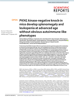 PKN1 Kinase-Negative Knock-In Mice Develop Splenomegaly And