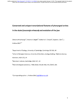 Conserved and Unique Transcriptional Features of Pharyngeal Arches