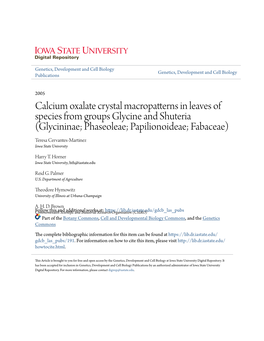 Calcium Oxalate Crystal Macropatterns in Leaves of Species from Groups