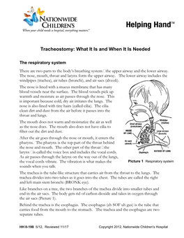 Tracheostomy: What It Is and When It Is Needed
