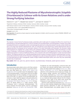 The Highly Reduced Plastome of Mycoheterotrophic Sciaphila (Triuridaceae) Is Colinear with Its Green Relatives and Is Under Strong Purifying Selection