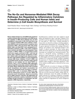 The No-Go and Nonsense-Mediated RNA Decay