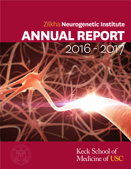 Annual Report 2017