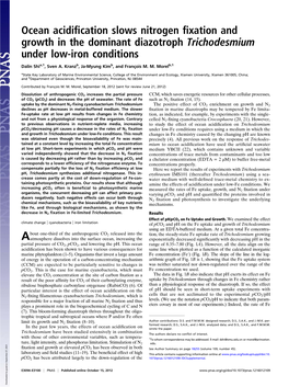 Ocean Acidification Slows Nitrogen Fixation and Growth in the Dominant Diazotroph Trichodesmium Under Low-Iron Conditions