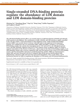 Single-Stranded DNA-Binding Proteins Regulate the Abundance of LIM Domain and LIM Domain-Binding Proteins