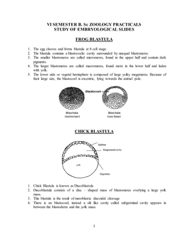 VI SEMESTER B. Sc ZOOLOGY PRACTICALS STUDY of EMBRYOLOGICAL SLIDES