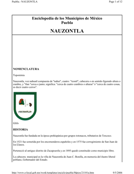 NAUZONTLA Page 1 of 12
