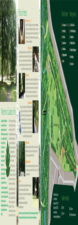 Cassiobury Park-Leaflet 25/6/08 20:50 Page 2 Welcome Park Tocassiobury Points Ofinterest Points of Interest Points of Interest Planning Your Day � Tree Sculpture