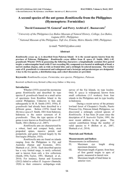 A Second Species of the Ant Genus Romblonella from the Philippines (Hymenoptera: Formicidae)