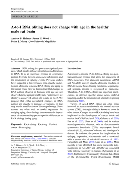A-To-I RNA Editing Does Not Change with Age in the Healthy Male Rat Brain