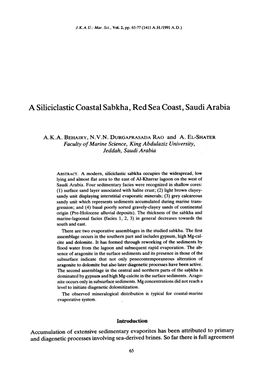 A Siliciclastic Coastal Sabkha, Red Sea Coast; Saudi Arabia