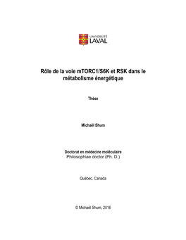 Rôle De La Voie Mtorc1/S6K Et RSK Dans Le Métabolisme Énergétique