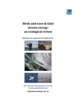 Birds and Wave & Tidal Stream Energy