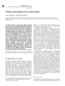 Structure and Regulation of Src Family Kinases