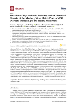 Mutation of Hydrophobic Residues in the C-Terminal Domain of the Marburg Virus Matrix Protein VP40 Disrupts Traﬃcking to the Plasma Membrane