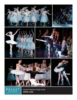 Student Matinee Study Guide SWAN LAKE Student Matinee Study Guide SWAN LAKE