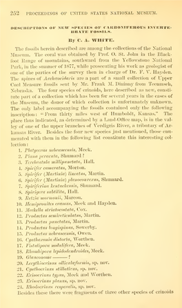 Proceedings of the United States National Museum