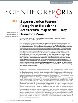 Superresolution Pattern Recognition Reveals the Architectural Map Of