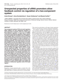 Unexpected Properties of Srna Promoters Allow Feedback Control