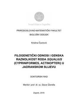 Filogenetički Odnosi I Genska Raznolikost Roda Squalius (Cypriniformes, Actinopteri) U Jadranskom Slijevu