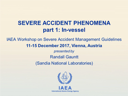 SEVERE ACCIDENT PHENOMENA Part 1: In-Vessel