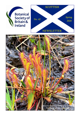 2020 BSBI Scottish Newsletter