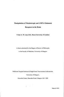 Manipulation of Metabotropic and AMPA Glutamate Receptors in the Brain