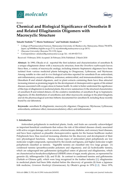 Chemical and Biological Significance of Oenothein B and Related
