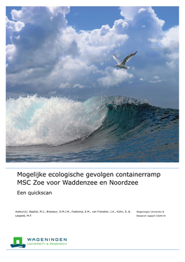 Mogelijke Ecologische Gevolgen Containerramp MSC Zoe Voor Waddenzee En Noordzee Een Quickscan