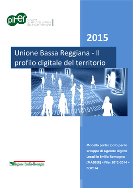 Unione Bassa Reggiana - Il Profilo Digitale Del Territorio