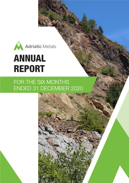 Annual Report