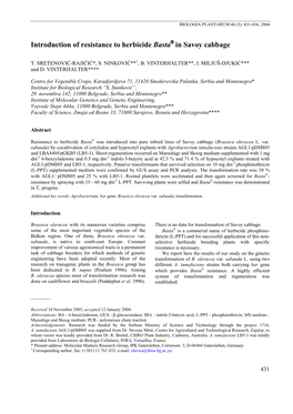 Introduction of Resistance to Herbicide Basta® in Savoy Cabbage