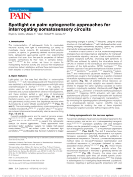 Spotlight on Pain: Optogenetic Approaches for Interrogating Somatosensory Circuits Bryan A