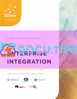 DZR Guide to Enterprise Integration