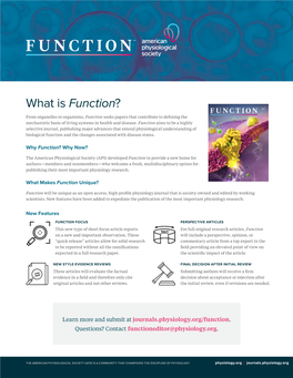What Is Function?