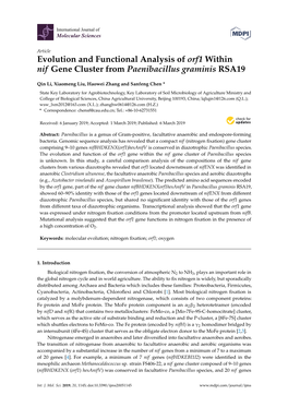 Evolution and Functional Analysis of Orf1 Within Nif Gene Cluster from Paenibacillus Graminis RSA19