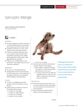 Sarcoptic Mange