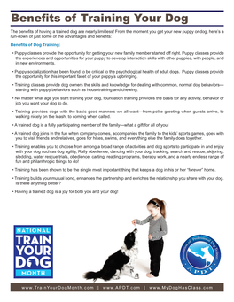 Benefits of Training Your Dog