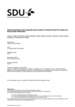 Structural Assembly of the Megadalton-Sized Receptor for Intestinal Vitamin B12 Uptake and Kidney Protein Reabsorption