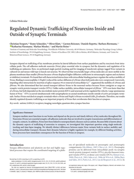 Regulated Dynamic Trafficking of Neurexins Inside and Outside of Synaptic Terminals