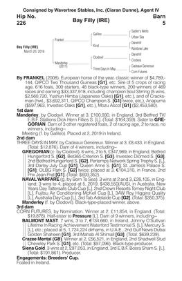 Bay Filly (IRE) Barn 5 Hip No