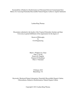 Sustainability of Reductive Dechlorination at Chlorinated