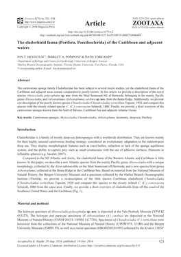 (Porifera, Poecilosclerida) of the Caribbean and Adjacent Waters