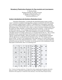 Strawberry Plasticulture Systems for Day-Neutrals and June-Bearers E