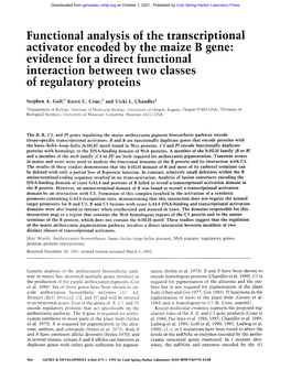 Functional Analysis of the Transcriptional Activator Encoded By