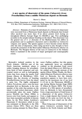 A New Species of Shearwater of the Genus Calonectris (Aves: Procellariidae) from a Middle Pleistocene Deposit on Bermuda