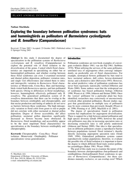 Bats and Hummingbirds As Pollinators of Burmeistera Cyclostigmata and B. Tenuiflora (Campanulaceae)