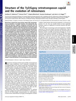 Structure of the Ty3/Gypsy Retrotransposon Capsid and the Evolution of Retroviruses