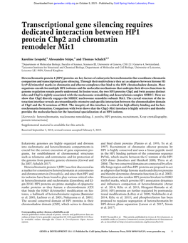 Transcriptional Gene Silencing Requires Dedicated Interaction Between HP1 Protein Chp2 and Chromatin Remodeler Mit1