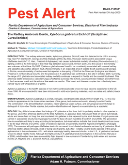 The Redbay Ambrosia Beetle, Xyleborus Glabratus Eichhoff (Scolytinae: Curculionidae)